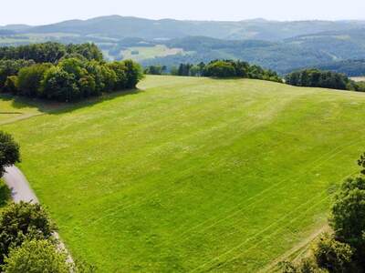 Grundstück kaufen in 2803 Schwarzenbach