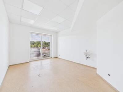 Gewerbeobjekt mieten in 4221 Steyregg (Bild 5)