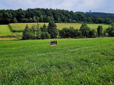 Grundstück kaufen in 4906 Eberschwang