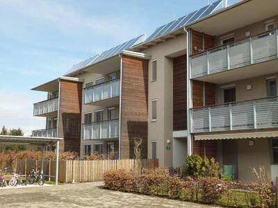 Wohnung mieten in 8430 Leibnitz