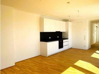 Terrassenwohnung kaufen in 1220 Wien (Bild 2)