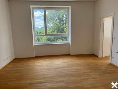 Gewerbeobjekt mieten in 2630 Ternitz (Bild 5)