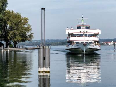 Gewerbeobjekt kaufen in 6900 Bregenz (Bild 5)