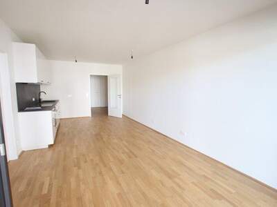 Terrassenwohnung mieten in 9020 Klagenfurt (Bild 4)