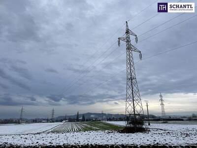 Grundstück kaufen in 8431 Gralla (Bild 5)