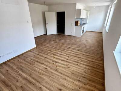 Wohnung mieten in 4600 Wels (Bild 4)