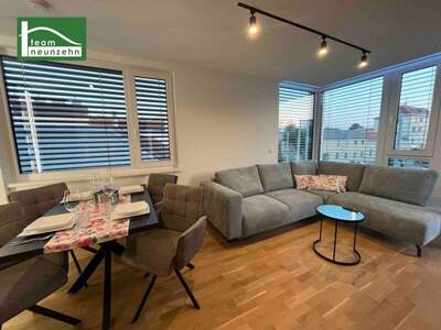 Terrassenwohnung mieten in 1220 Wien (Bild 1)