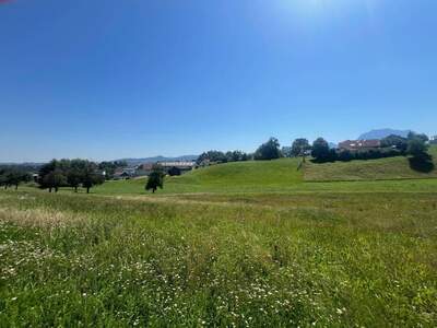 Anlageobjekt kaufen in 4694 Ohlsdorf