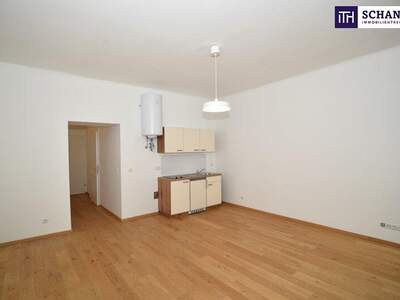Wohnung kaufen in 1100 Wien (Bild 2)