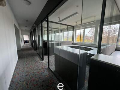 Gewerbeobjekt mieten in 4844 Regau (Bild 5)