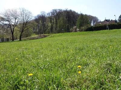 Grundstück kaufen in 3443 Sieghartskirchen