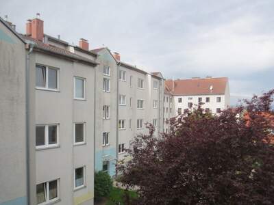 Apartment mieten in 2700 Niederösterreich