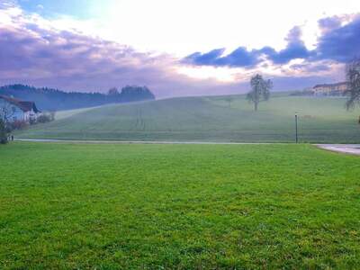 Grundstück kaufen in 4770 Andorf