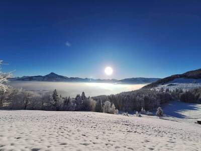 Grundstück provisionsfrei kaufen in 6370 Reith