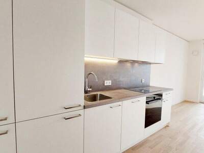 Terrassenwohnung mieten in 1220 Wien (Bild 1)