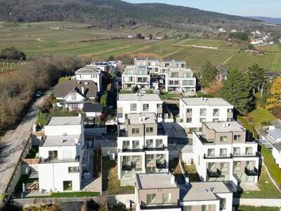 Haus kaufen in 2345 Perchtolsdorf