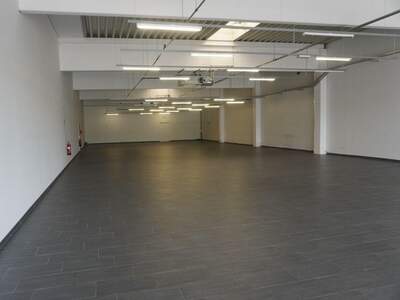 Gewerbeobjekt mieten in 9020 Klagenfurt (Bild 3)