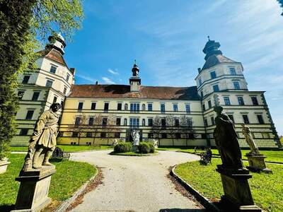 Haus kaufen in 3900 Schwarzenau