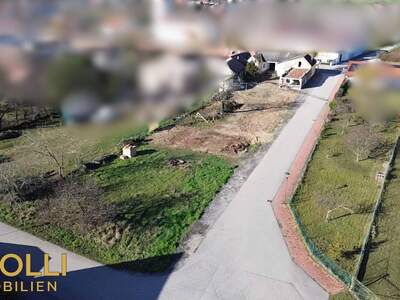 Grundstück kaufen in 2472 Prellenkirchen