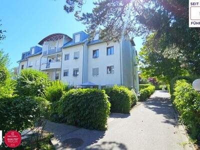 Mietwohnung in 2340 Mödling (Bild 2)