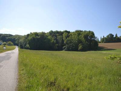 Grundstück kaufen in 7543 Limbach
