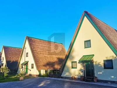 Einfamilienhaus mieten in 7083 Purbach (Bild 3)