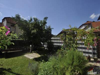 Mehrfamilienhaus kaufen in 3192 Hohenberg (Bild 5)