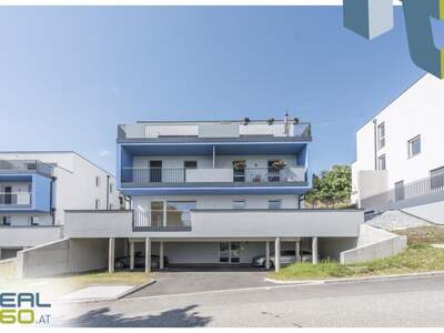 Terrassenwohnung kaufen in 4202 Kirchschlag (Bild 1)