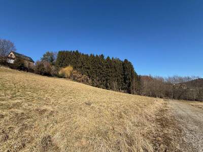 Grundstück kaufen in 8302 Edelsgrub (Bild 2)