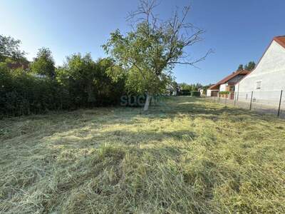 Grundstück kaufen in 2700 Wiener Neustadt