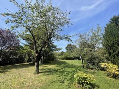 Grundstück kaufen in 2721 Bad Fischau