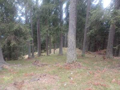 Gewerbeobjekt kaufen in 9542 Verditz (Bild 3)