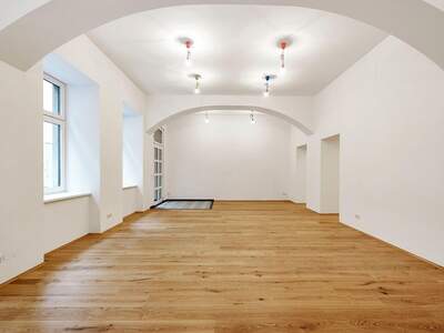 Gewerbeobjekt kaufen in 1070 Wien (Bild 1)