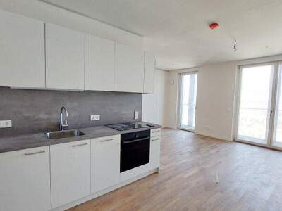 Terrassenwohnung mieten in 1220 Wien (Bild 1)