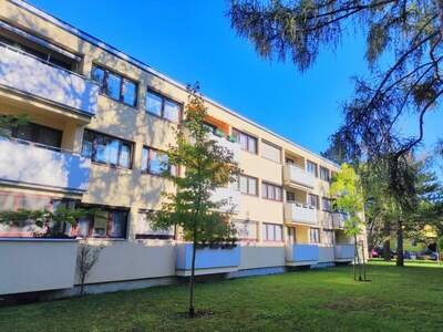 Terrassenwohnung kaufen in 1230 Wien (Bild 1)