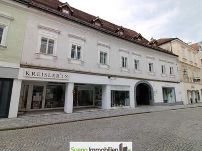 Haus kaufen in 4400 Steyr (Bild 4)