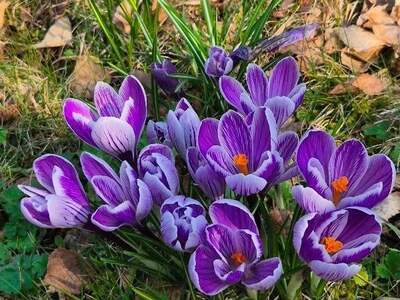 Grundstück kaufen in 3034 Maria