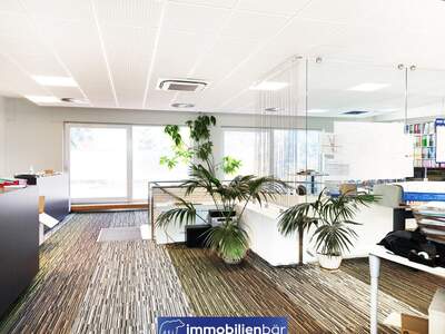 Gewerbeobjekt kaufen in 4614 Marchtrenk (Bild 4)