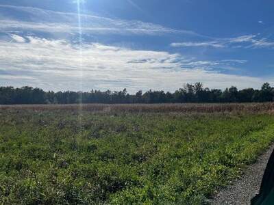 Grundstück kaufen in 8141 Premstätten (Bild 4)