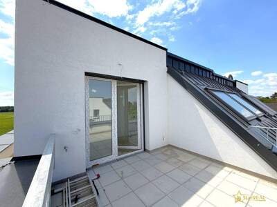 Haus kaufen in 1220 Wien