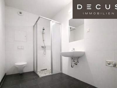 Terrassenwohnung mieten in 1100 Wien (Bild 3)