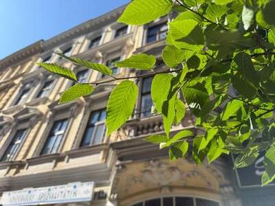 Wohnung mieten in 1170 Wien