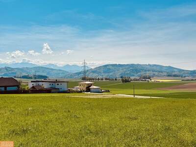 Anlageobjekt kaufen in 4694 Ohlsdorf