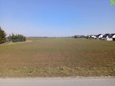 Anlageobjekt kaufen in 2230 Gänserndorf