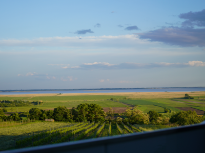 Wohnung kaufen in 7093 Jois (Bild 1)