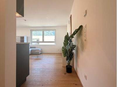 Terrassenwohnung mieten in 6850 Dornbirn (Bild 2)