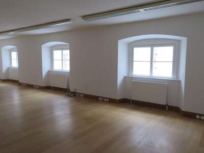 Gewerbeobjekt mieten in 1010 Wien (Bild 2)