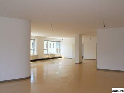 Gewerbeobjekt mieten in 1100 Wien (Bild 4)