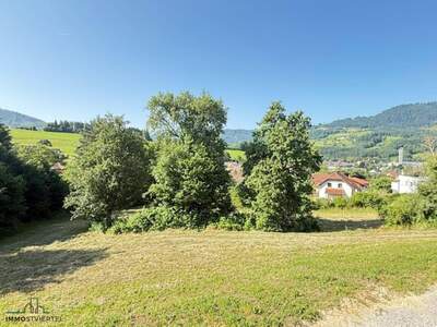 Grundstück kaufen in 3270 Scheibbs