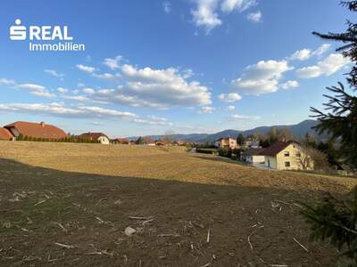 Grundstück kaufen in 8670 Krieglach (Bild 4)